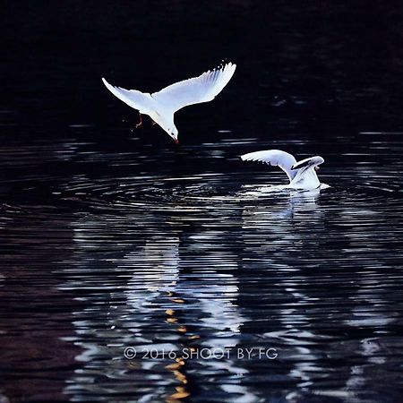 Appartamento Gite Bord De Marne Paris Bry-sur-Marne Esterno foto