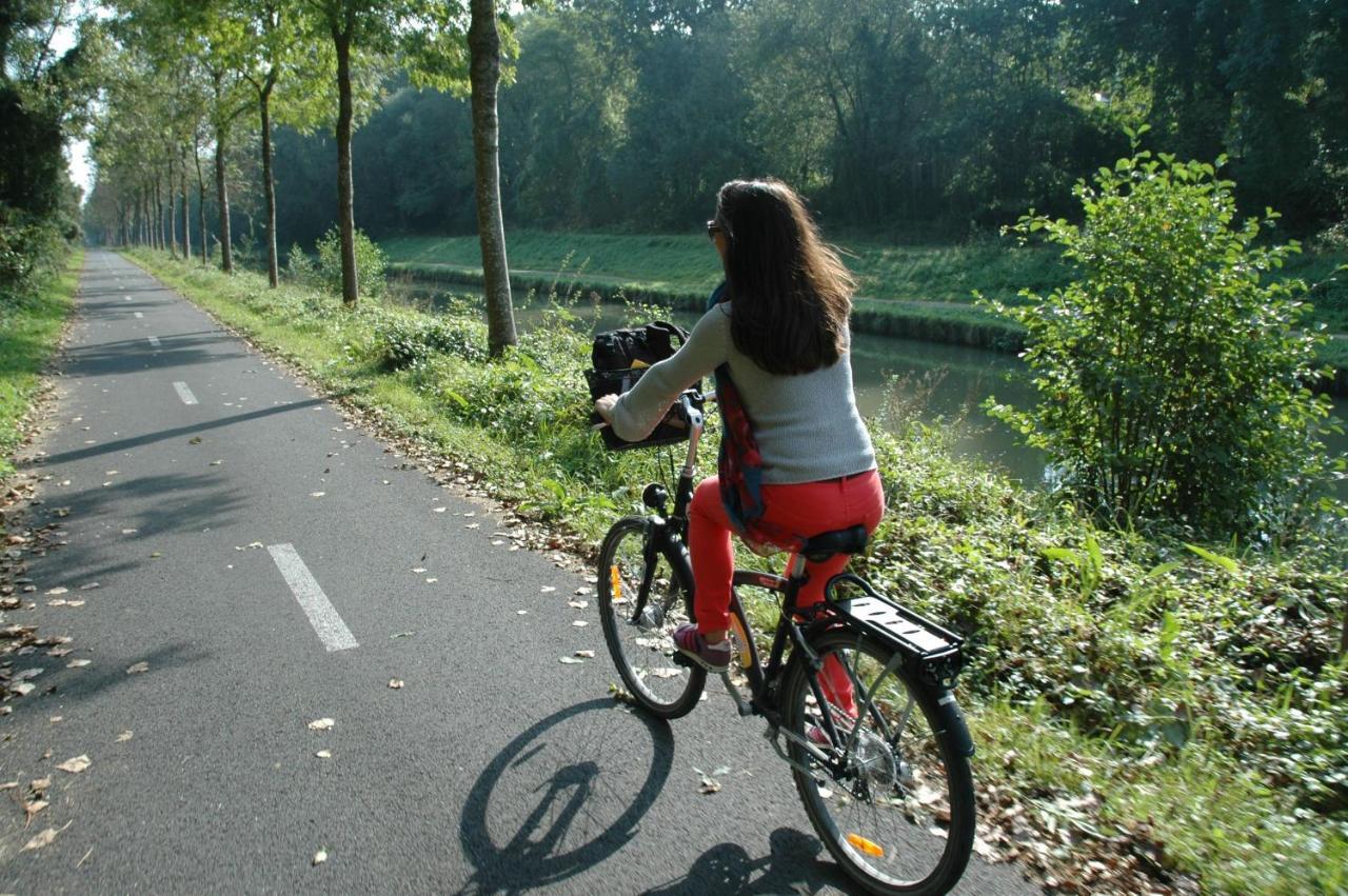 Appartamento Gite Bord De Marne Paris Bry-sur-Marne Esterno foto